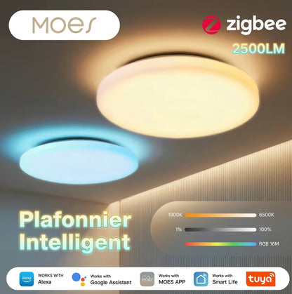 Plafonnier LED Intelligent RGB avec Contrôle Vocal, compatible Alexa et Google
